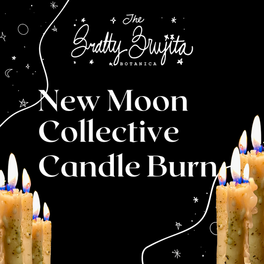 New Moon in Aquarius Tallow Candle Manifesting Ritual (Feb 9th 2024 )